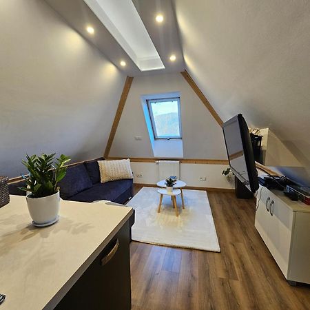 Rezydencja Sienkiewicza Zakopane Extérieur photo
